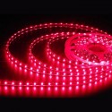 Tira Flexible LED 12V IP20