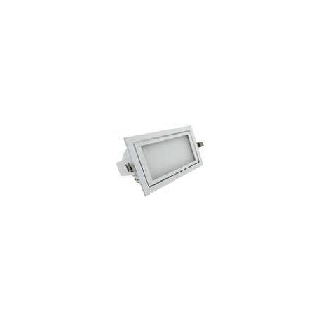 Downlight Rectangular Orientable