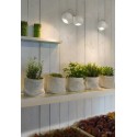 LINEA LIGHT PELOTA Blanco